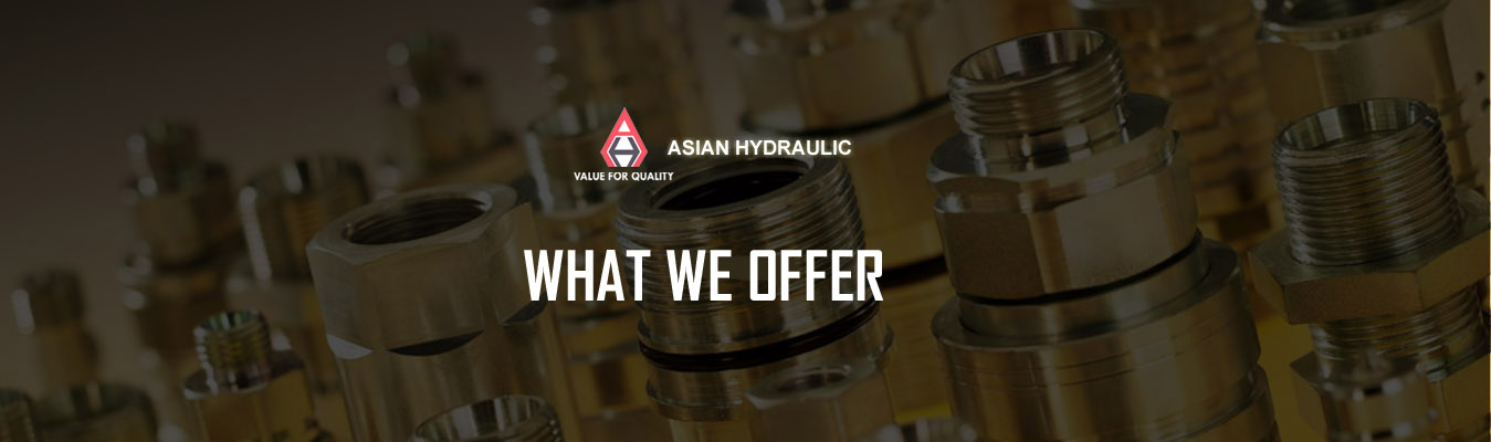 What We Offer